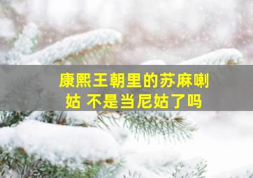 康熙王朝里的苏麻喇姑 不是当尼姑了吗